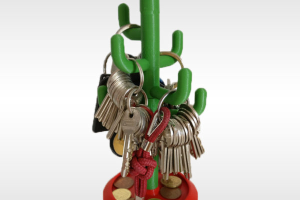 Cactus portachiavi